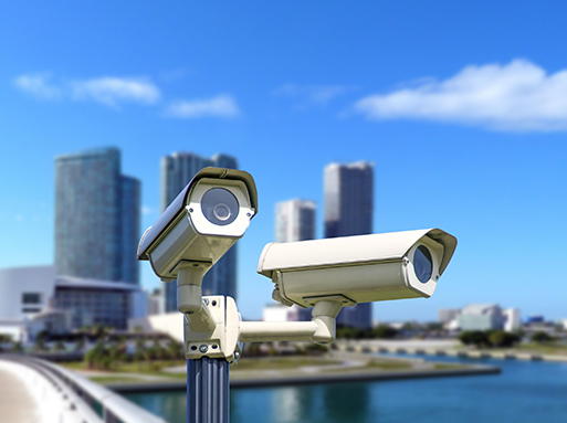 &#31859;&#20848;&#23448;&#26041;&#119;&#101;&#98;&#31449;&#45;&#31859;&#20848;&#40;&#20013;&#22269;&#41;